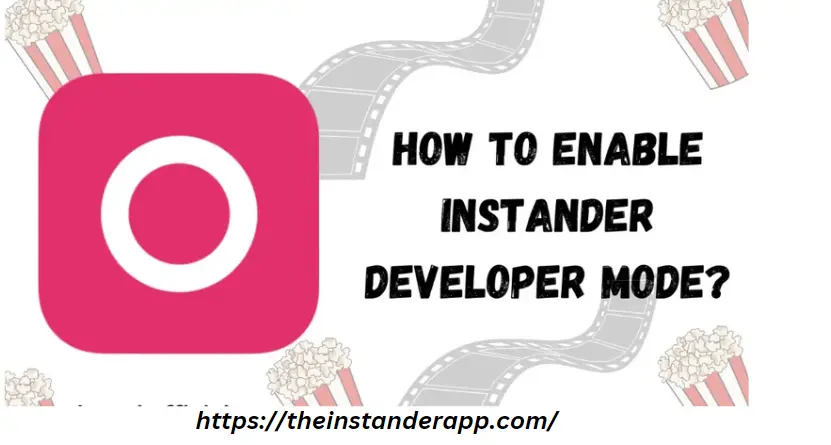 How to enable Insttander Developer Mode